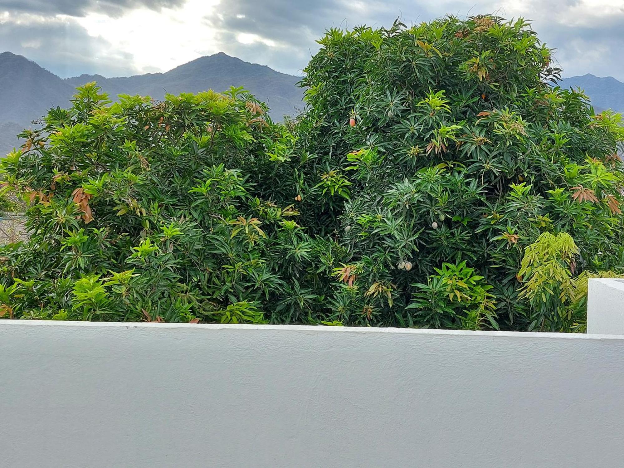 Casa Bacoba Apartment Santa Marta  Exterior photo